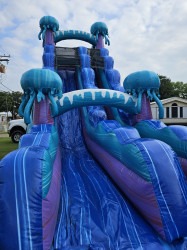 20240521 173010 1716336733 20ft Electric Jellyfish Waterslide