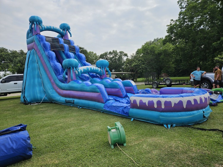 20ft Electric Jellyfish Waterslide