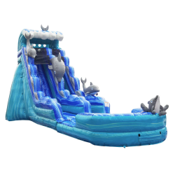 20ft Dolphin Adventure - Wet