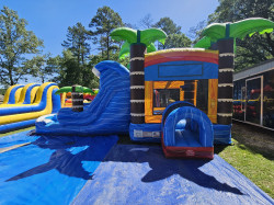 20240412 112037 1713229175 Tropical Combo Dual Lane (Wet or Dry)