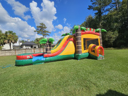 20251002 112347 1759442392 Island Hopper Single Lane Combo (Wet or Dry)