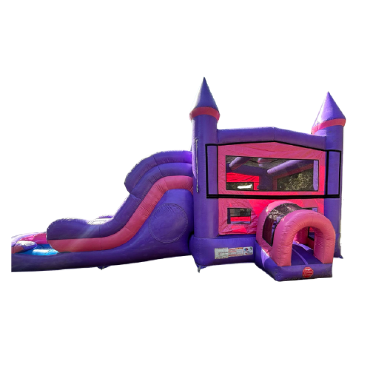 Princess Falls Dual Lane Wet/Dry Combo Princess Falls Dual Lane Wet/Dry Combo