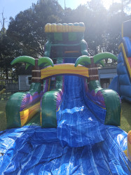 20251108 121938 1763735570 22ft Mardi Gras Falls