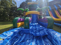 20251108 122001 1763735570 22ft Mardi Gras Falls