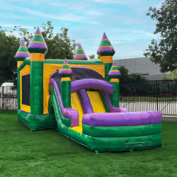 Mardi20Gras20Falls20Combo 1765319781 Mardi Gras Falls Dual Lane Wet/Dry Combo